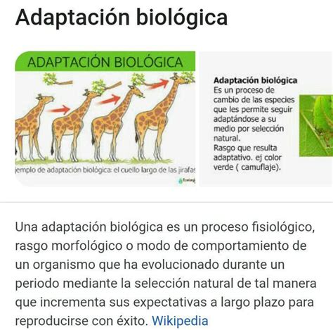 Caracteristicas De La Adaptacion Biologica Brainly Lat