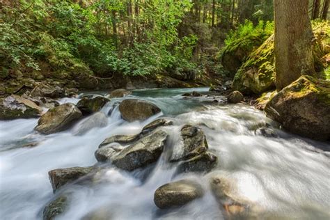 Stream In The Mountain Forest Stock Image Everypixel