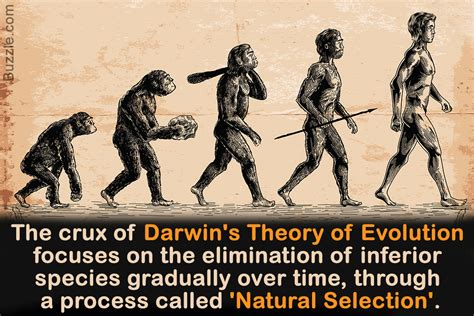 Check spelling or type a new query. Charles Darwin: An Introduction to the Theory of Evolution ...