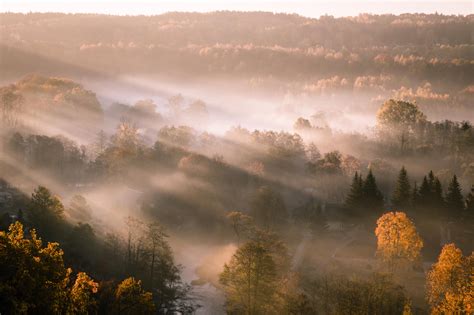 Autumn Sunbeams Hitting Through Early Morning Fog 5918x3945 Oc