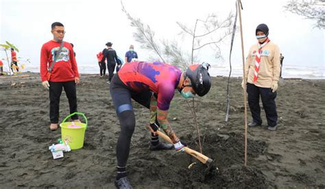 Cegah Abrasi Ribuan Pohon Ditanam Di Pantai Tirang Semarang Beta News