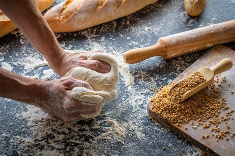 How Long To Knead Bread By Hand And In A Mixer Kitchen Seer