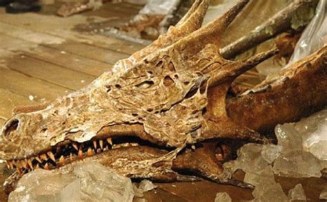 Archaeological Marvel Shocking Fossilized Dragon Found In China