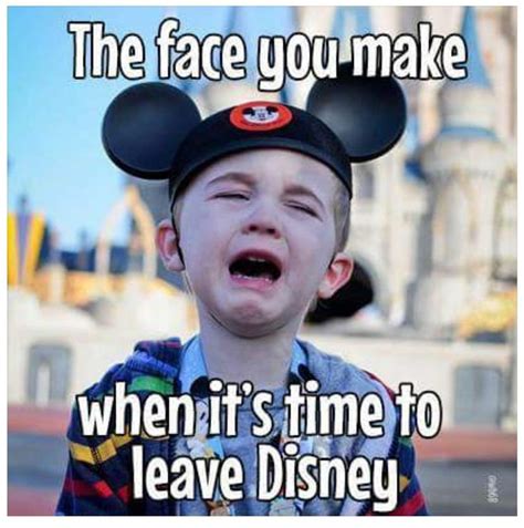 Pin By Robyn Jipp On I Love Disneyland Disney Memes Funny Disney