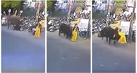 mujer es atacada por toro y lanzada al aire varios metros video locomundo ojo