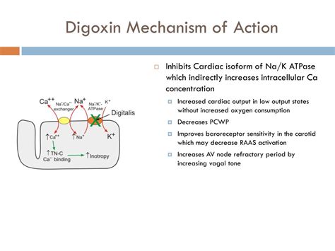 Ppt Digoxin Use And Toxicity Powerpoint Presentation Free Download