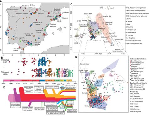 The Genomic History Of The Iberian Peninsula Over The Past 8000 Years