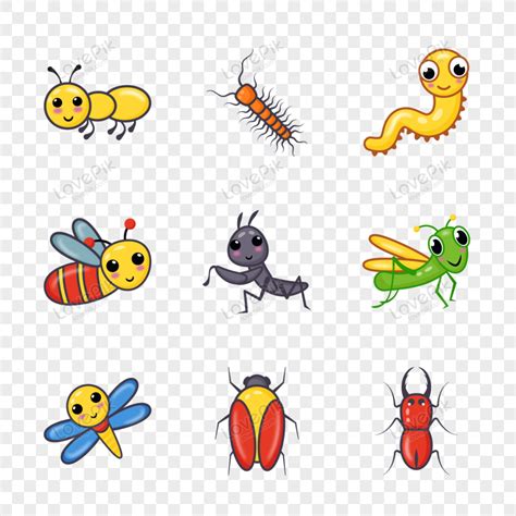 Flying Insects Species Flat Vector Illustration Png Image Free Download
