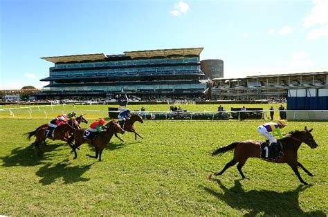 Randwick Kensington Tips Horse Racing Tips For The July 1 2020 Sydney