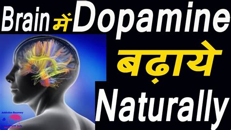 11 Ways To Increase Dopamine Level Naturally In Your Brain How To