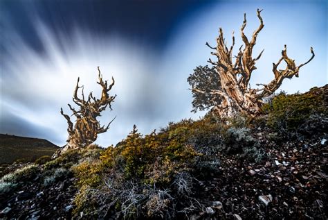 Eastern Sierra Eloquent Images By Gary Hart