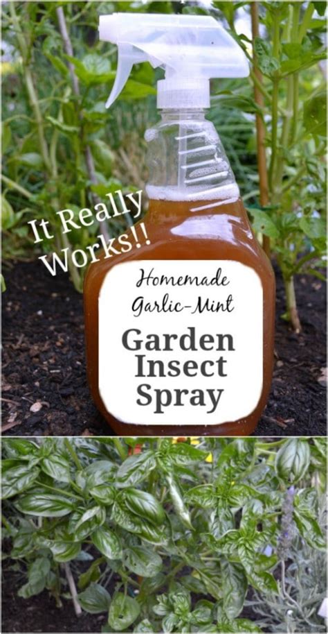 10 Homemade Insecticides That Keep Your Garden Pest Free