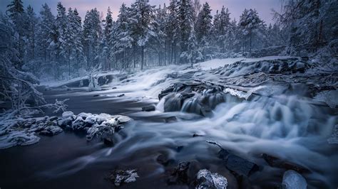 Waterfall Stream Between Snow Covered Trees In Forest During Morning