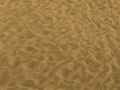 Golden Beach Sand Texture Free Stock Image Ground Dirt And Sand