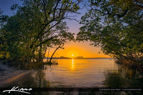 Indian River Lagoon Mangrove Jensen Beach Florida Hdr Photography By