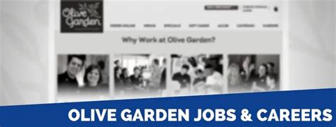 Olive Garden Application 2024 Careers Job Requirements And Interview