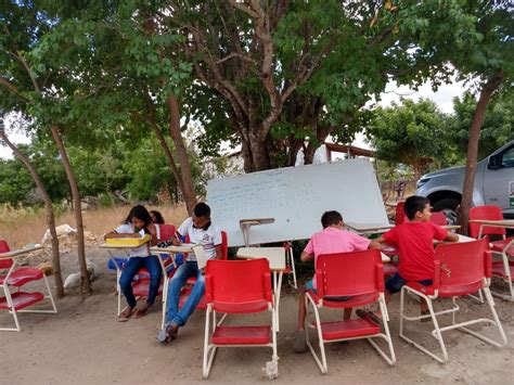 Com escola em reforma alunos assistem a aulas embaixo de árvore em Caucaia Ceará G