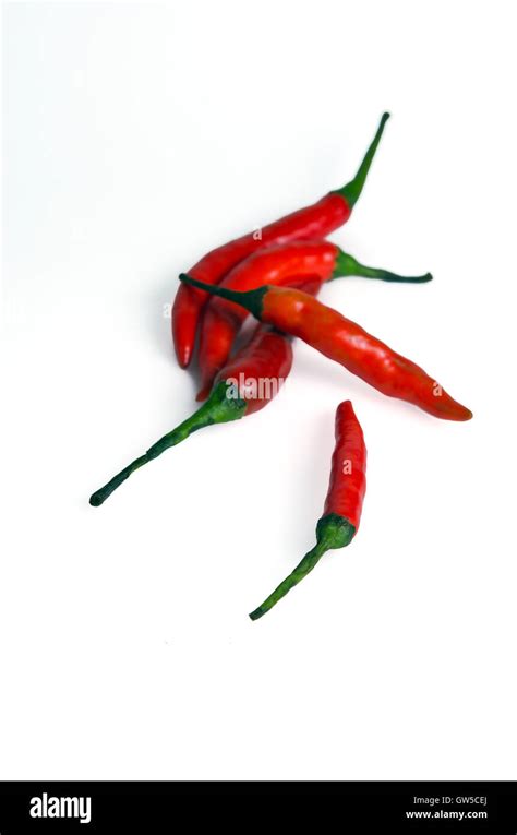 Red Hot Spicy Chili Pepper Also Named As Chile Pepper Capsicum Annuum Capsicum Frutescens
