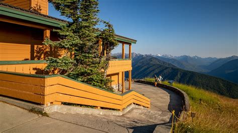 Hurricane Ridge Visitors Center Pictures View Photos And Images Of