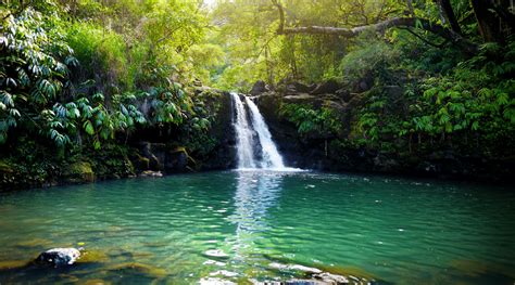 Food is the universal equalizer. The Very Best Of Maui's Beautiful Waterfalls, Ranked