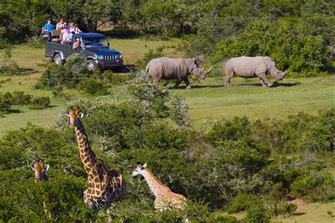 South African Safari And Big 5 Tours 34° South Tours
