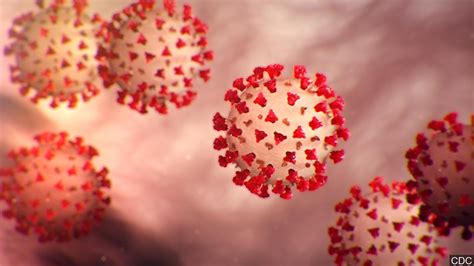 2 Confirmed Cases Of Coronavirus In Florida 5 Isolated Out Of State