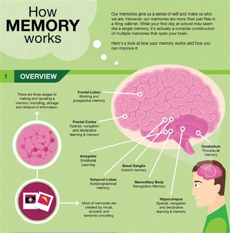 Easy Ways To Improve Your Memory