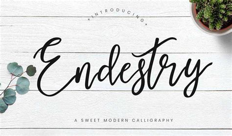 The 15 Best Free Calligraphy Fonts For Designers