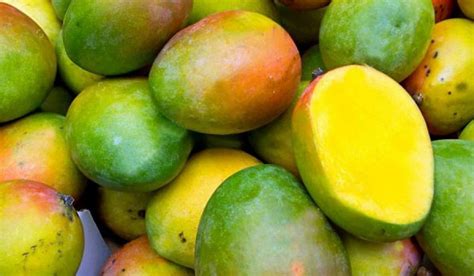 Tropical Fruits In Sri Lanka From Mango Durian Papaya And Banana