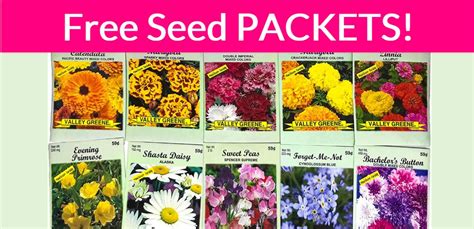 Free Flower Seeds Samples By Mail Best Flower Site