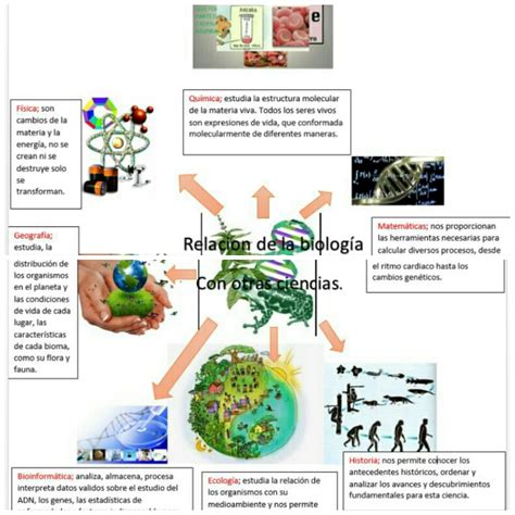 Biologia Mapa Mental Caracteristicas Basicas De La Ciencia Images