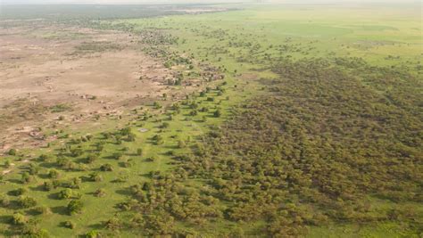 Racing To Restore 100 Million Hectares Of Africas Great Green Wall Unccd