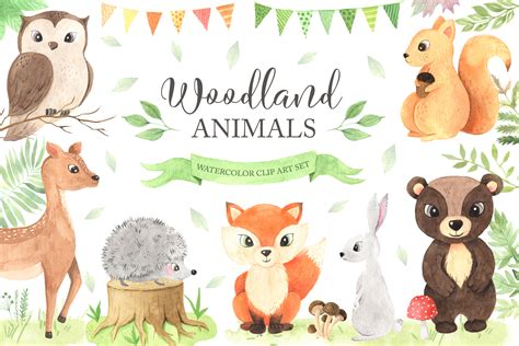 Watercolor Woodland Animals Set Graphic By Larysa Zabrotskaya