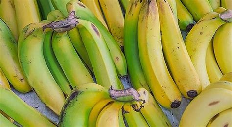 (it's not putting them in the refrigerator.) it really works and it's something anyone could do. 4 Ways To Quicken Ripening of Bananas | 1mhealthtips.com
