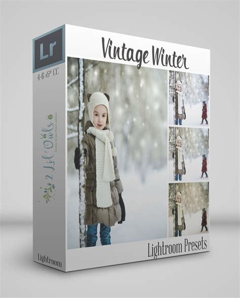 How do i select a preset in lightroom? Vintage Winter Lightroom Presets | 2 Lil' Owls Studio