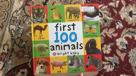 First 100 Animals For Babies Book Reading Youtube