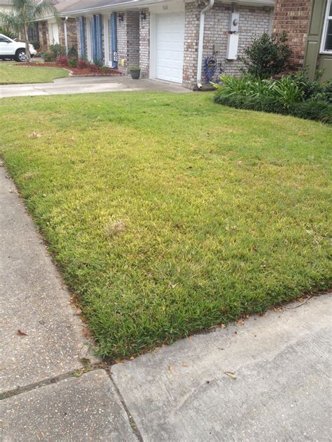 Top 2,823 Reviews and Complaints about TruGreen Lawn Care | Page 37