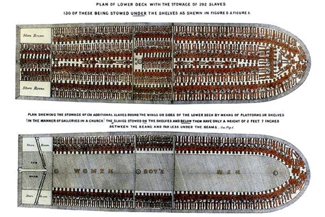 New Dna Study Further Reveals Horrific Reality Of The Trans Atlantic Slave Trade Amibc
