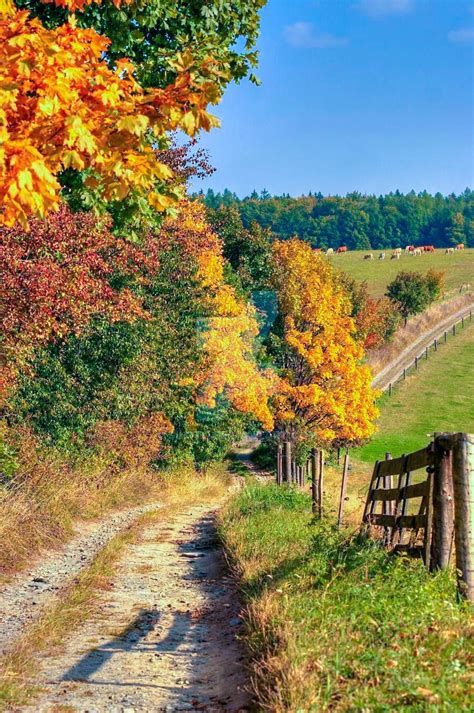 Farm Road On A Fall Afternoon No Location Given By Siloto Beautiful