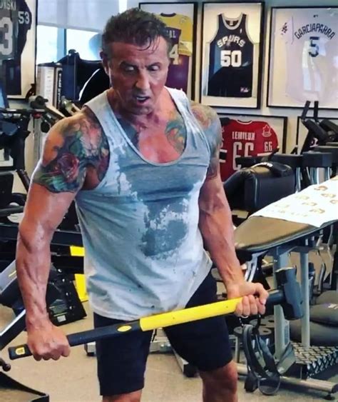 Sylvester Stallone Sylvester Stallone Goes Shirtless To Show Off Ripped Chest Last