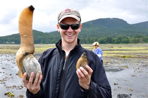 Fat Of The Land Kiss My Geoduck