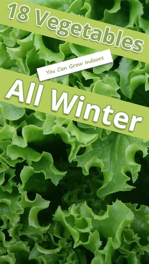 18 Vegetables You Can Grow Indoors All Winter