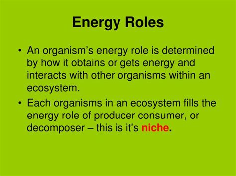 Ppt Roles Of Organisms In Ecosystems Powerpoint Presentation Id6182680
