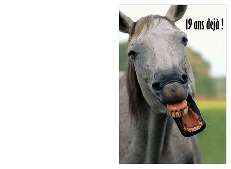 Cartes anniversaire invitation anniversaire invitation anniversaire. Carte anniversaire 19 ans photo cheval rigolo imprimer