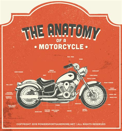 The Anatomy Of A Motorcycle Latest Infographics