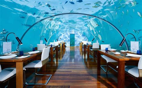 3 Underwater Restaurants To Dine At Around The World Silverkris