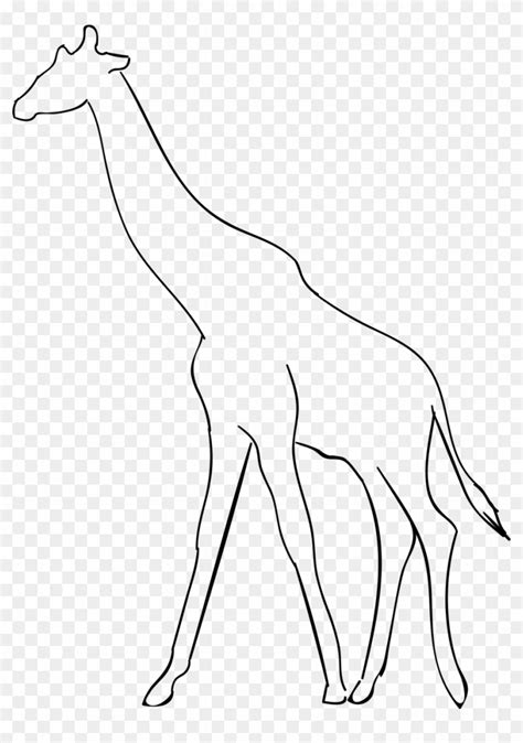 Siluetas de animales para colorear - 1000 dibujos