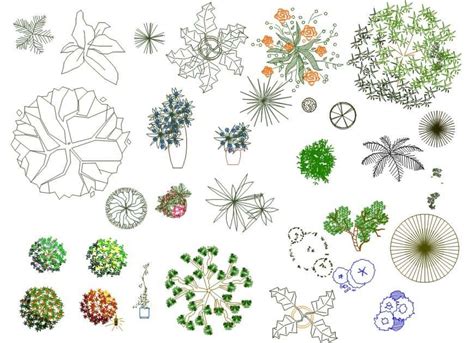 Beautiful Flower Plant Cad Blocks Top View Dwg File Cadbull Images