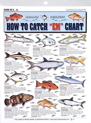 Tightline Publications How To Catch Em Saltwater Chart Detailed