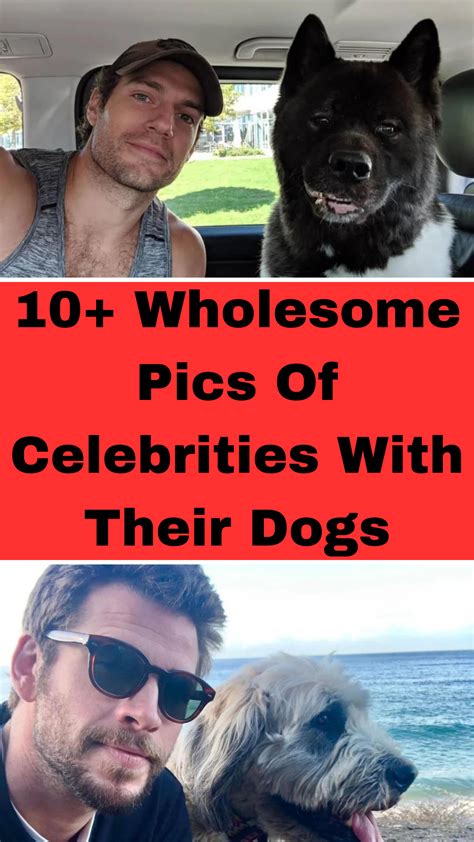 10 Wholesome Pics Of Celebrities With Their Dogs Artofit
